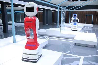 工業(yè)機(jī)器人迎來“阜陽造”新紀(jì)元 正式投產(chǎn)引領(lǐng)智能機(jī)器人研發(fā)新浪潮